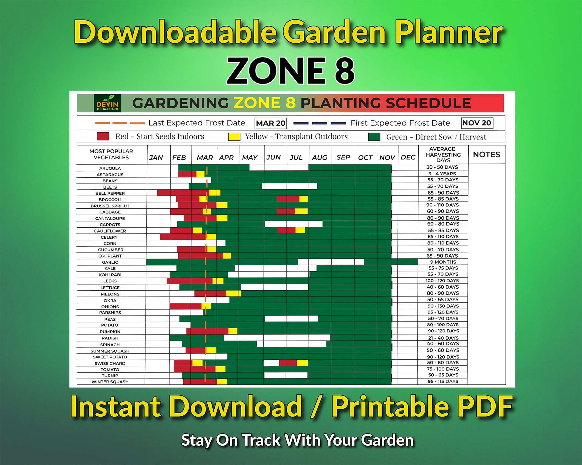 Zone 8 Garden Planting Schedule – Devin The Gardener