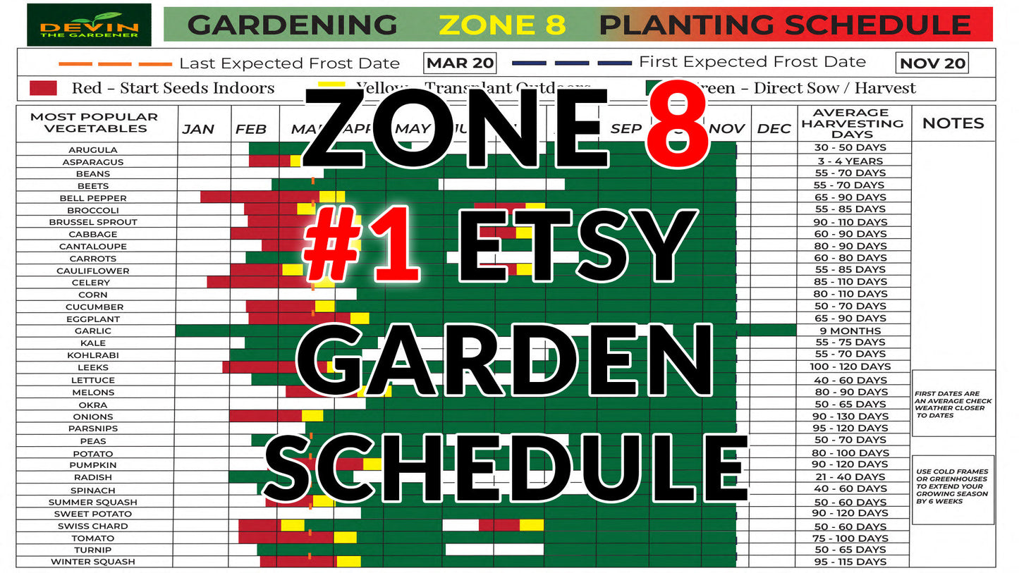 Zone 8 Garden Planting Schedule, Vegetable Plants, Vegetable Seeds, Vegetable Print, Garden Print, Plant Lover Gift, Zone 8 Garden Planner