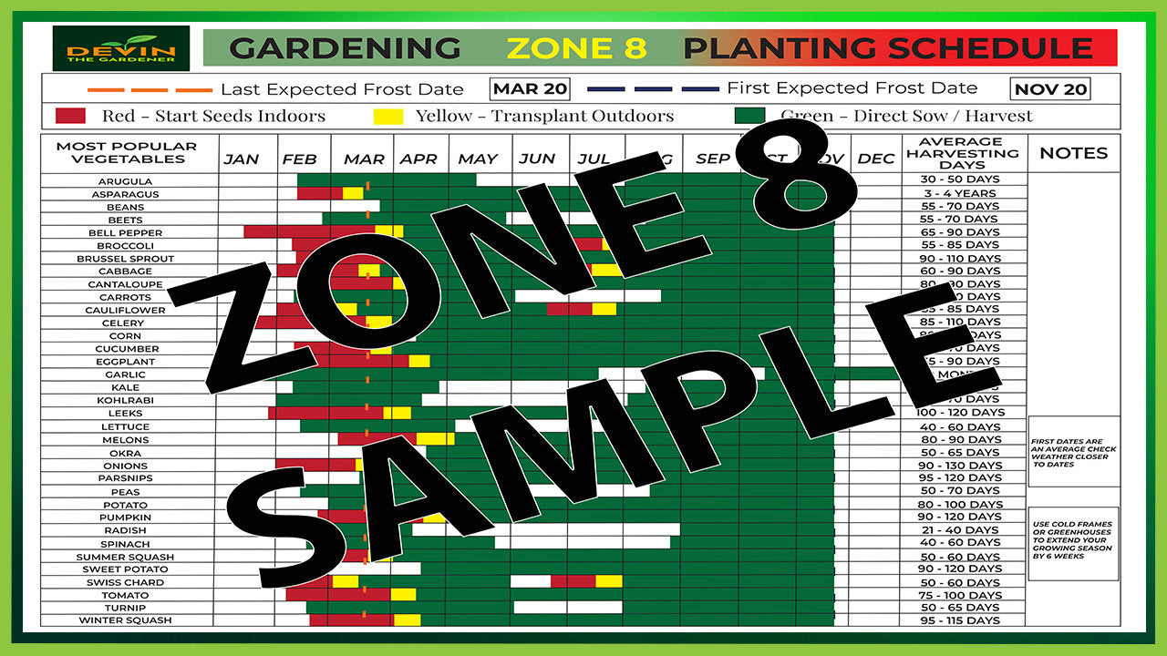 Zone 8 Garden Planting Schedule, Vegetable Plants, Vegetable Seeds, Vegetable Print, Garden Print, Plant Lover Gift, Zone 8 Garden Planner