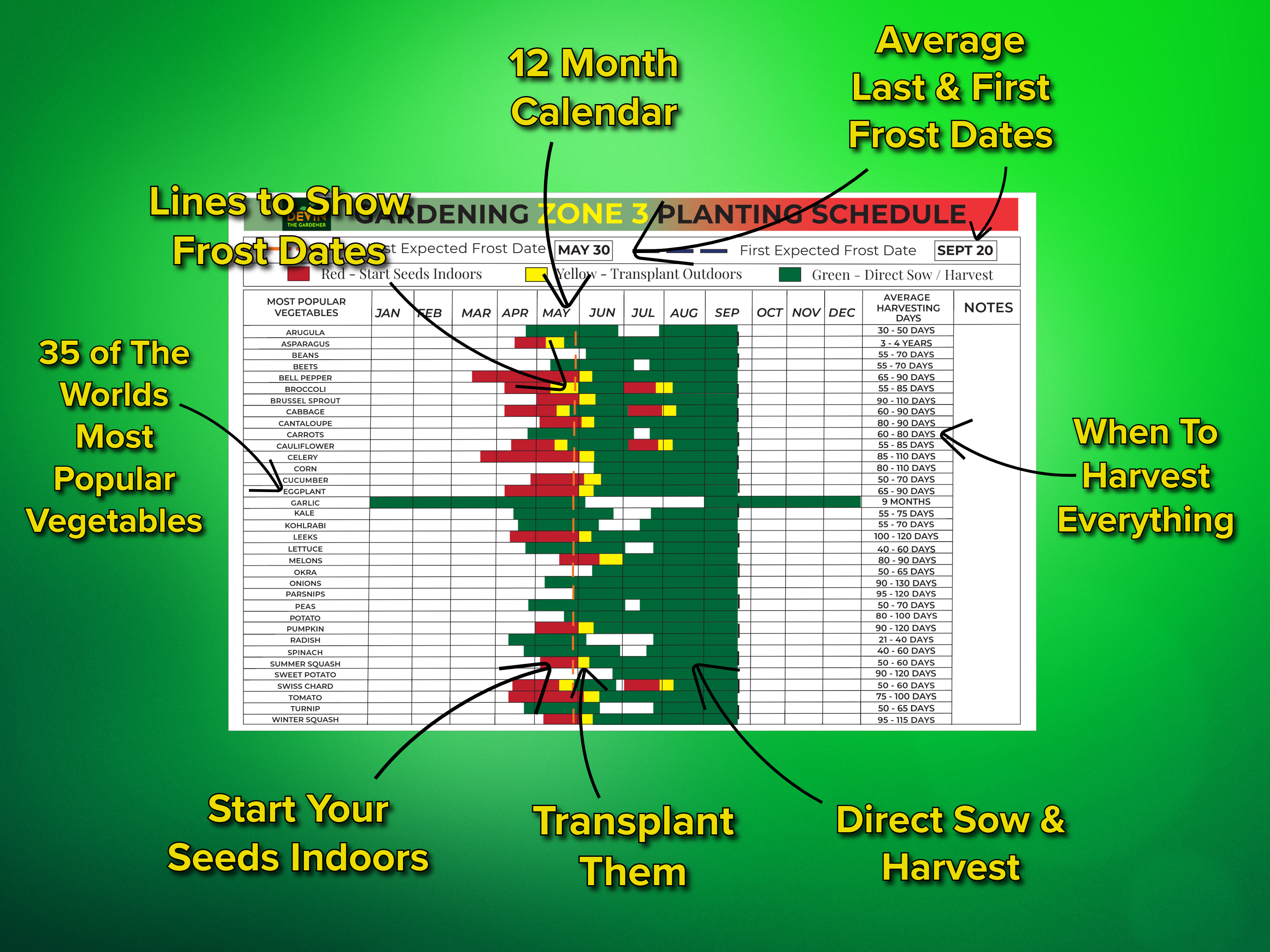 Calendar with planting schedule and frost date information on a green background