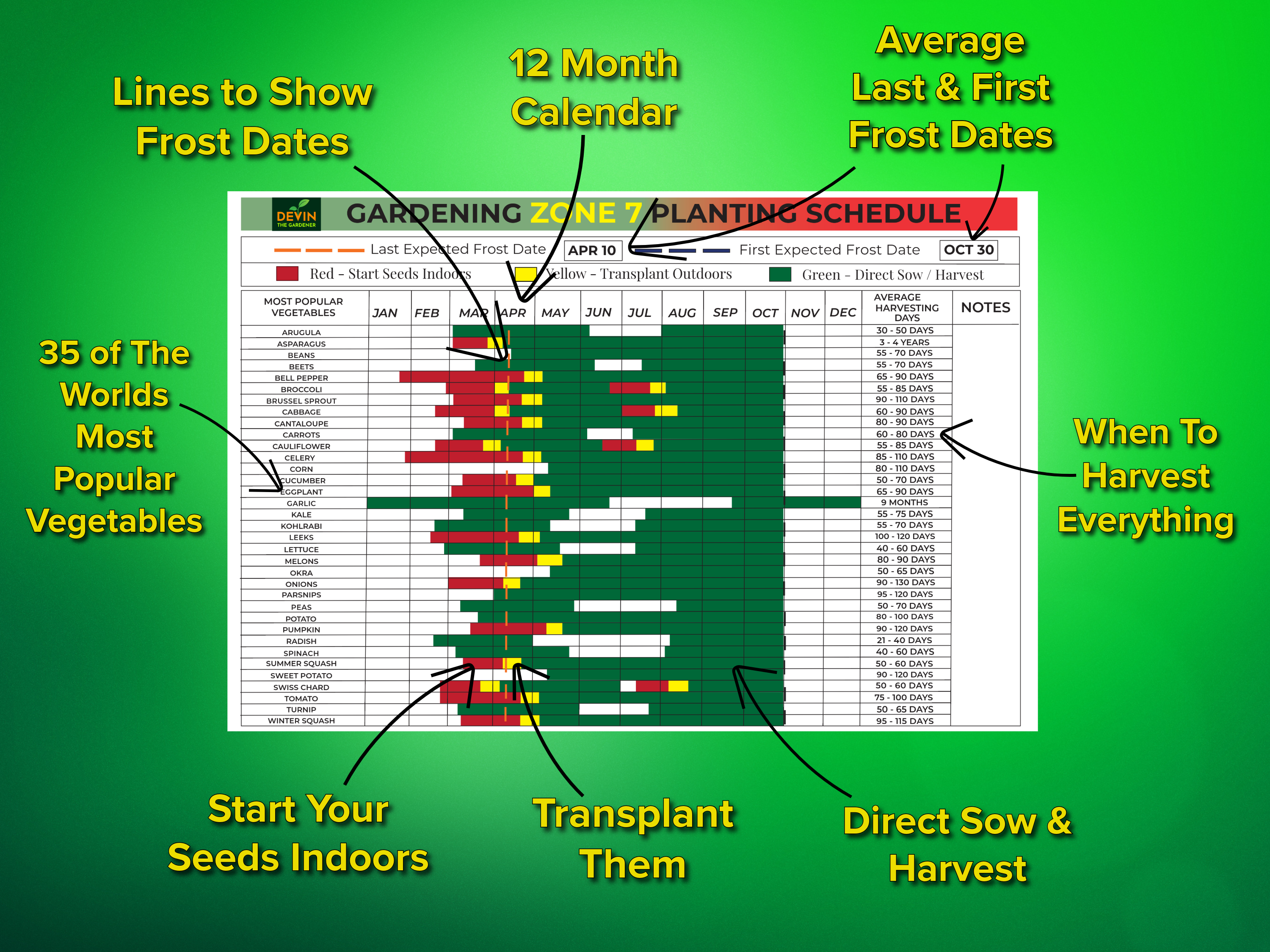 Zone 7 Garden Planting Schedule