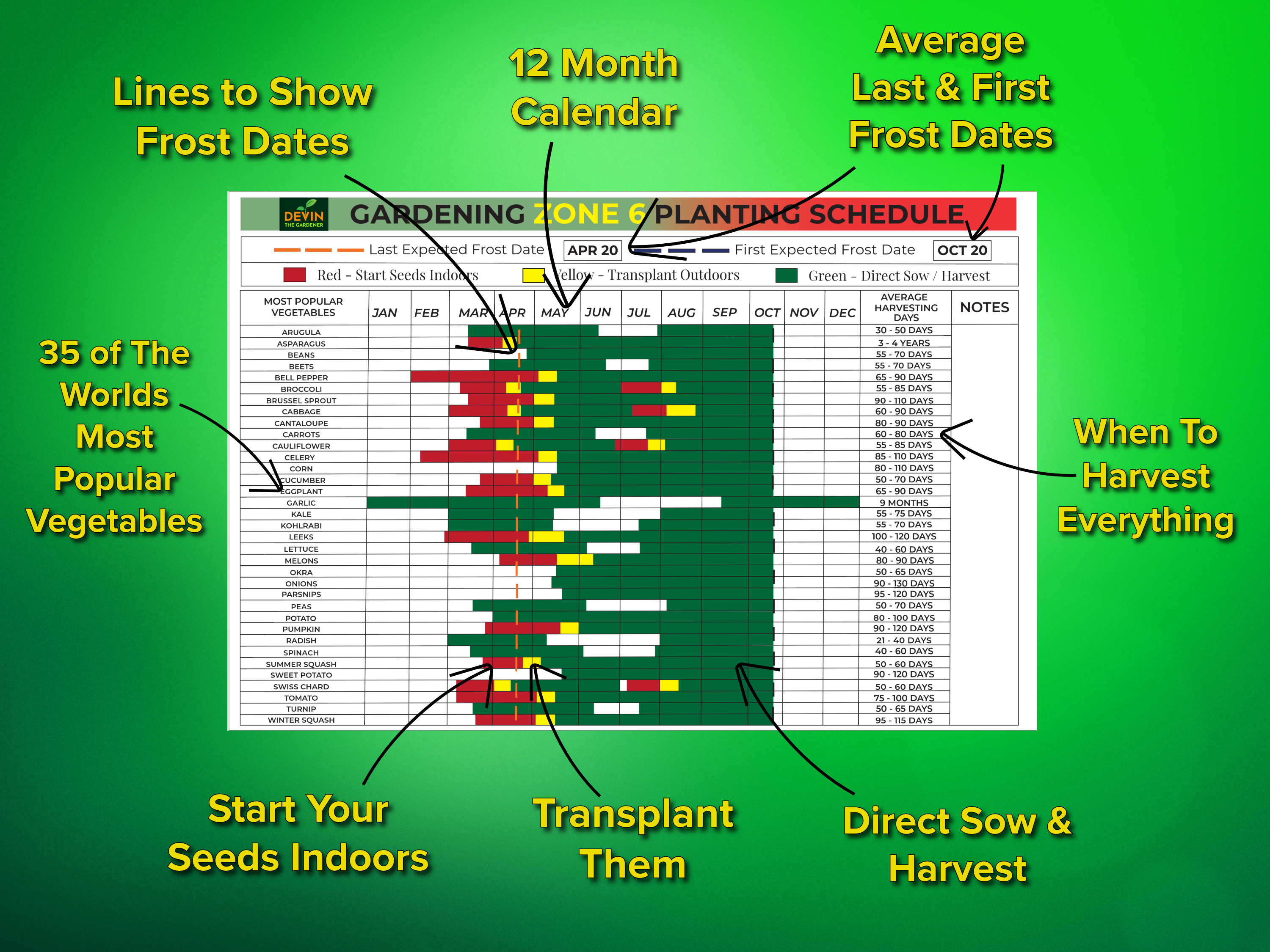 Zone 6 Garden Planting Schedule