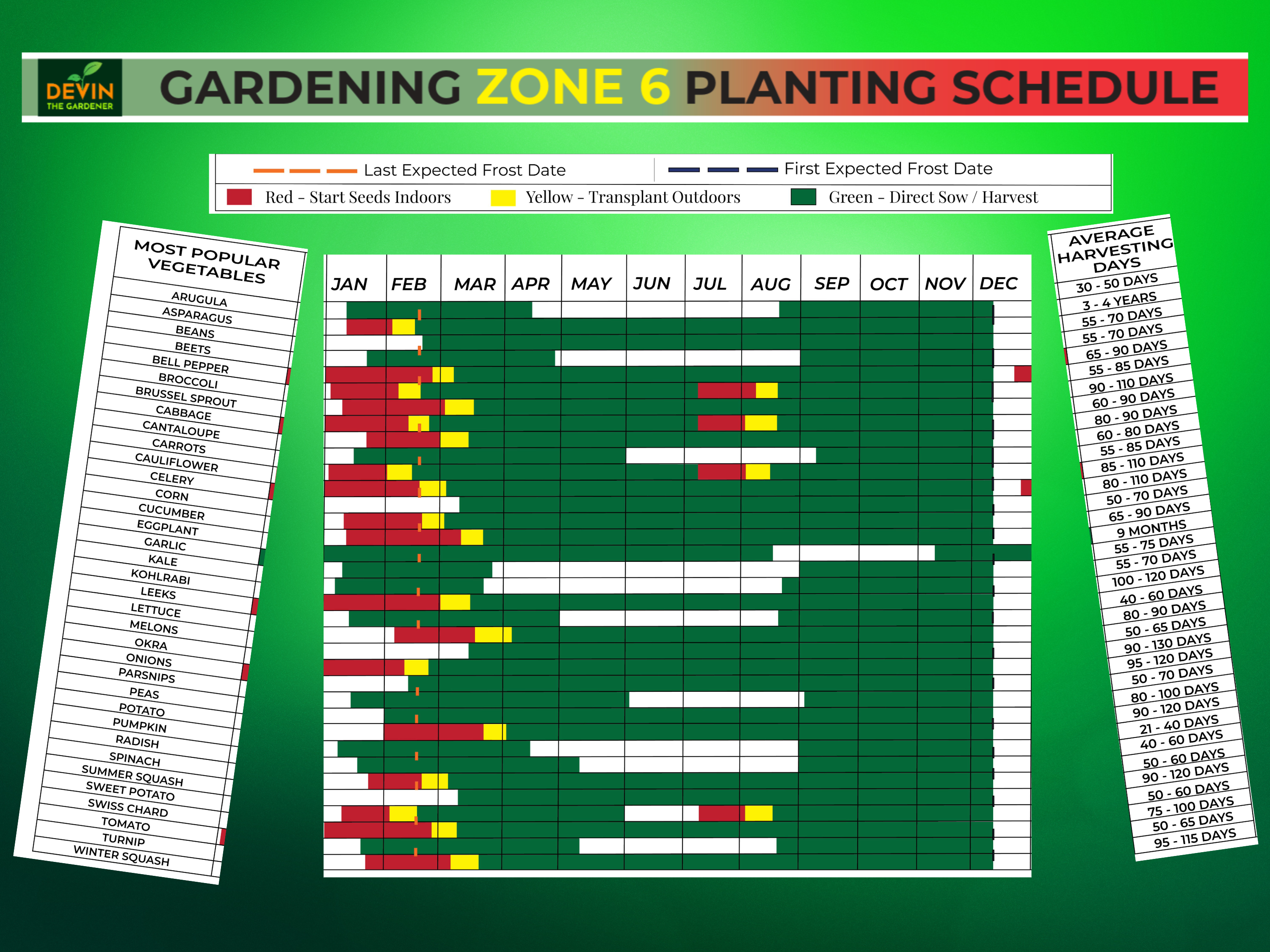 Zone 6 Garden Planting Schedule