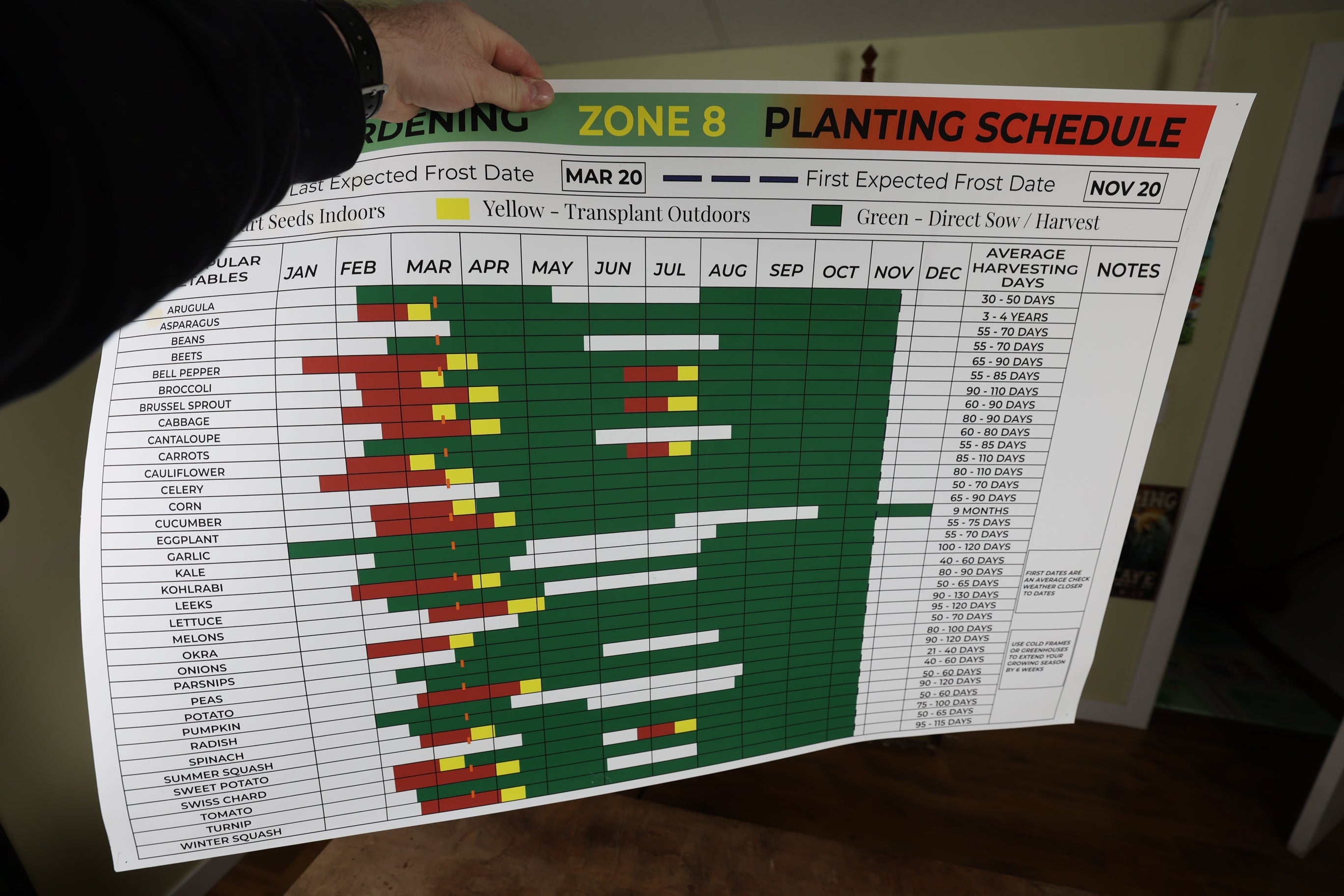 Zone 8 Garden Planting Schedule