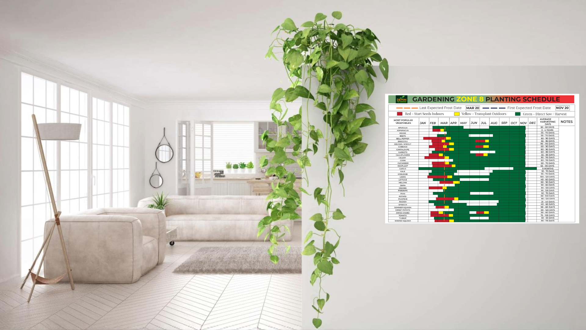 Zone 8 Garden Planting Schedule