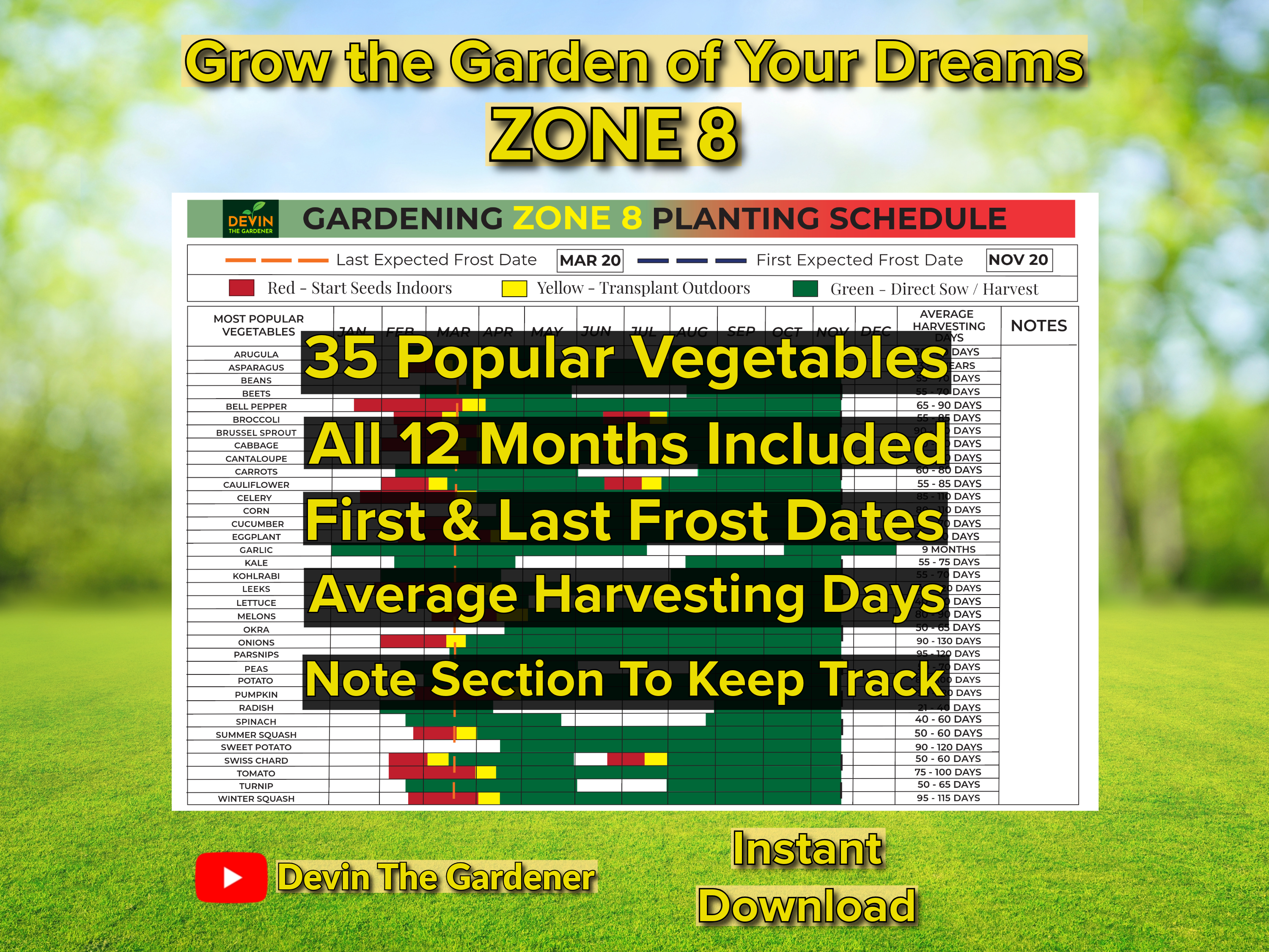 Zone 8 Garden Planting Schedule