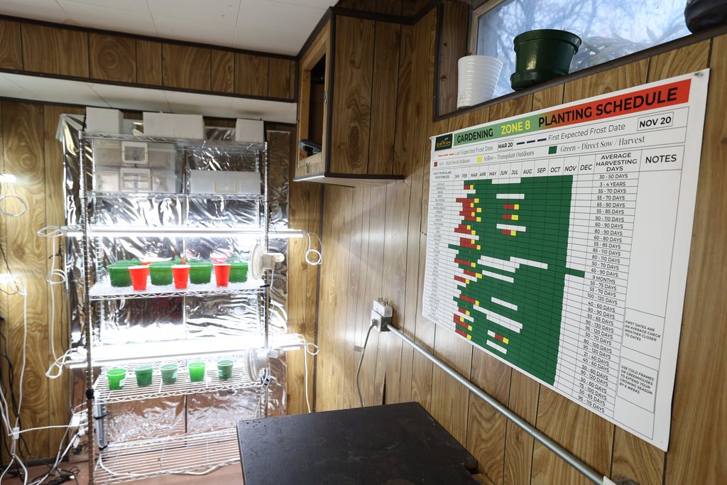 Zone 8 Garden Planting Schedule