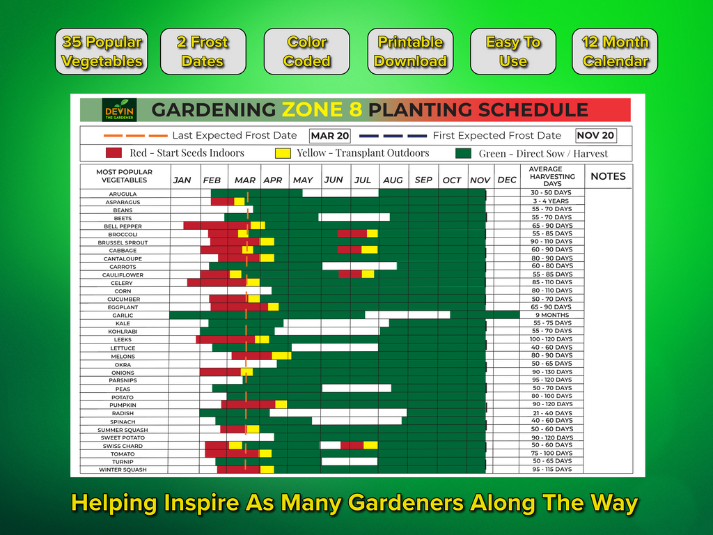 Zone 8 Garden Planting Schedule