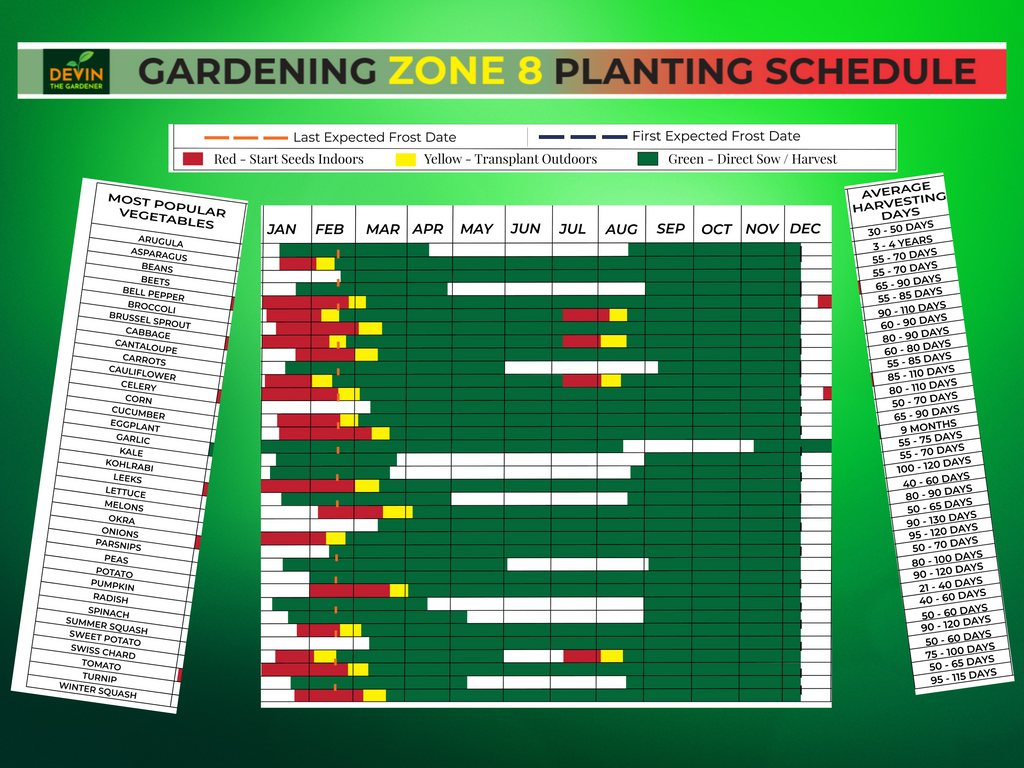 Zone 8 Garden Planting Schedule
