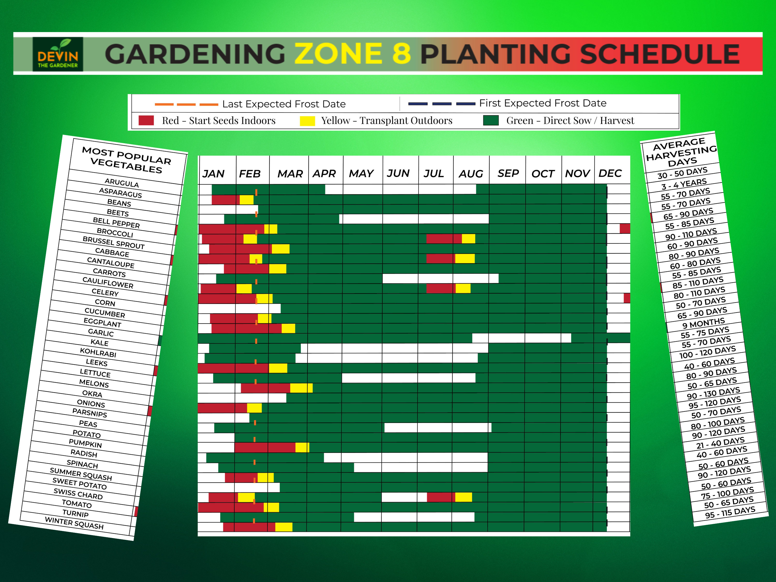 Zone 8 Garden Planting Schedule