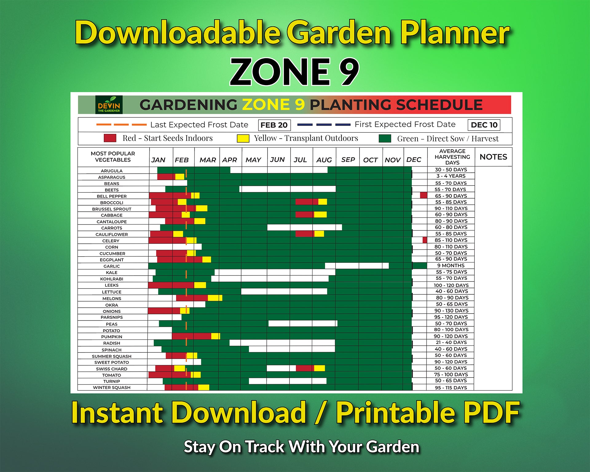 Zone 9 Gardening Planting Schedule