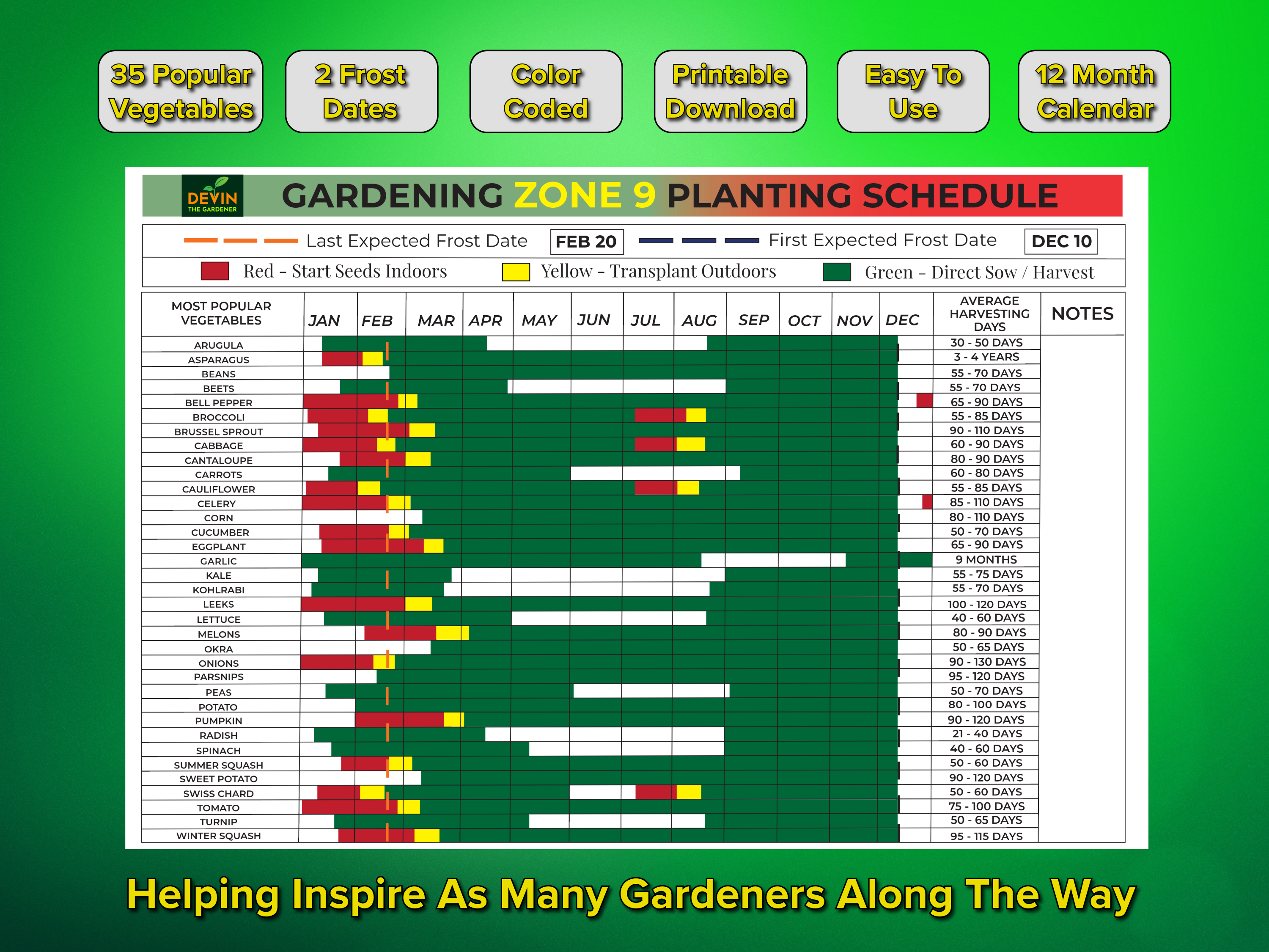 Zone 9 Gardening Planting Schedule