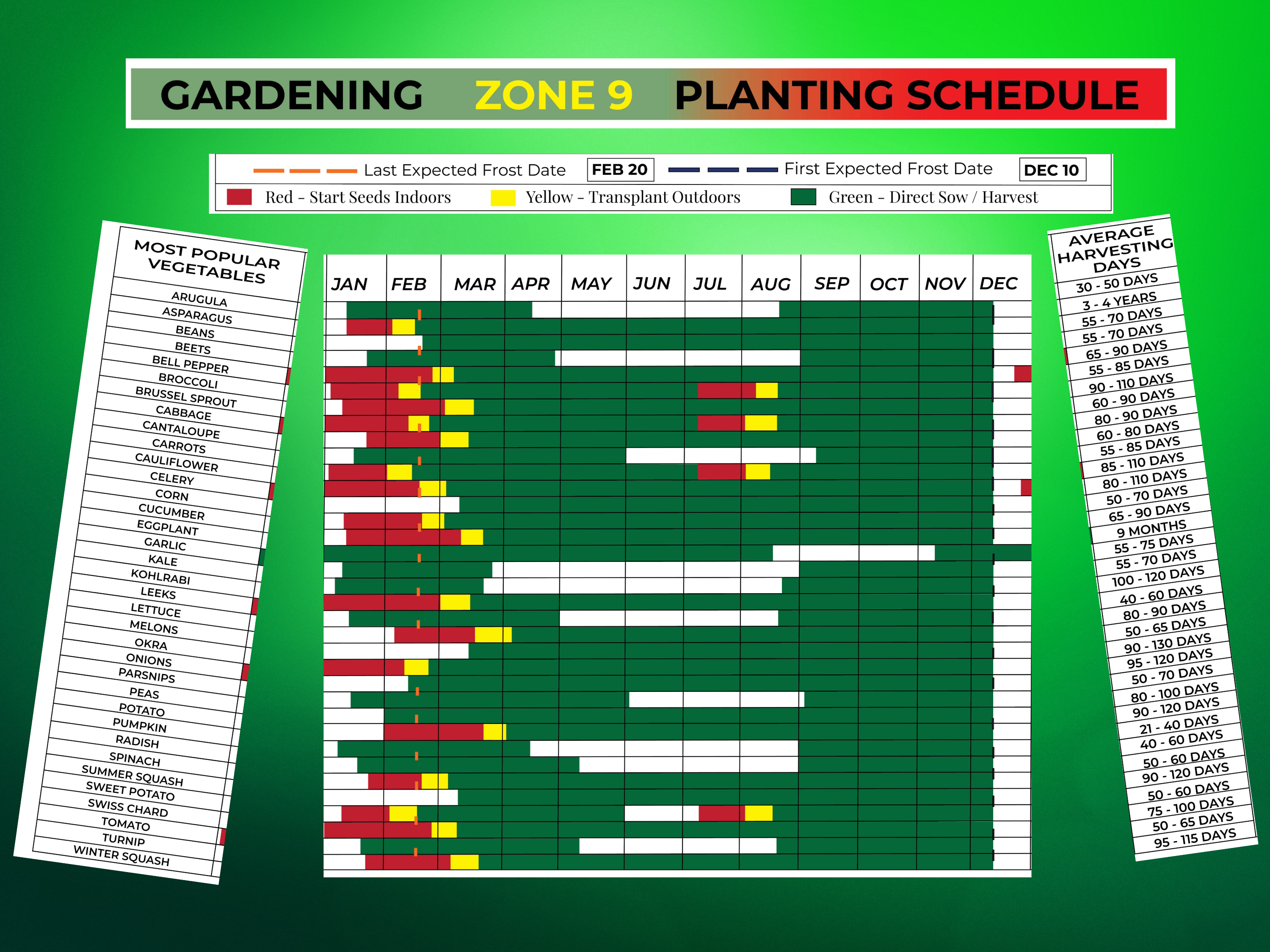Zone 9 Gardening Planting Schedule